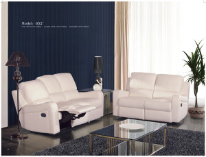 Living Room Genuine Leather Sofa (C852)
